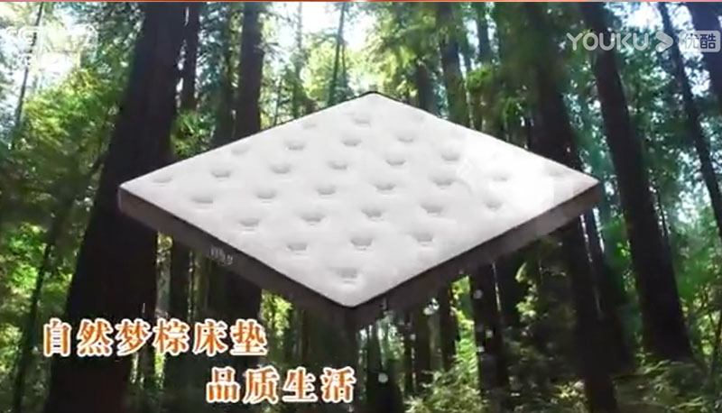 自然夢(mèng)棕床墊